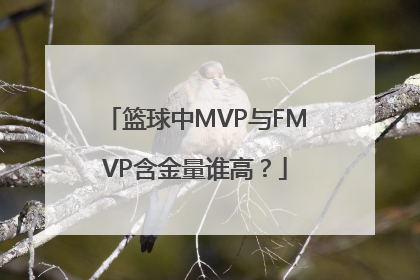 篮球中MVP与FMVP含金量谁高？