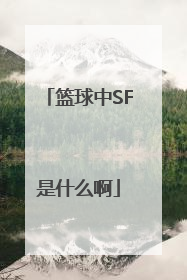 篮球中SF是什么啊