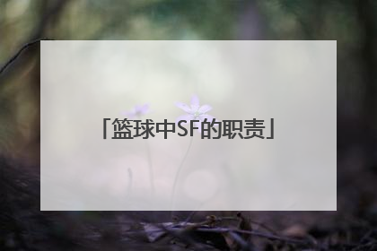 篮球中SF的职责