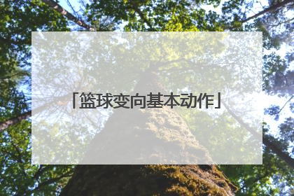 篮球变向基本动作