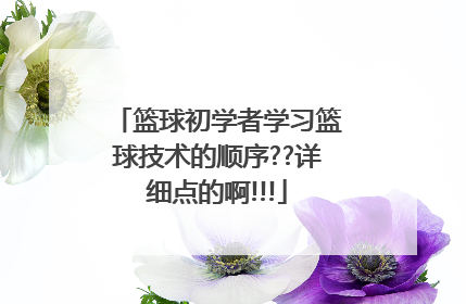 篮球初学者学习篮球技术的顺序??详细点的啊!!!