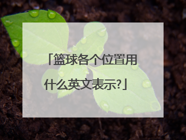 篮球各个位置用什么英文表示?