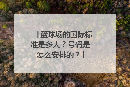 篮球场的国际标准是多大？号码是怎么安排的？