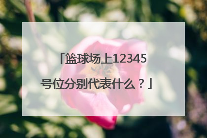 篮球场上12345号位分别代表什么？