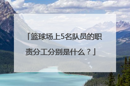 篮球场上5名队员的职责分工分别是什么？