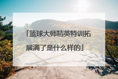 篮球大师精英特训拓展满了是什么样的