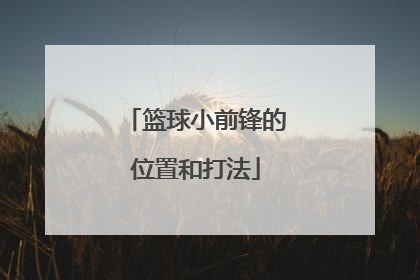 篮球小前锋的位置和打法