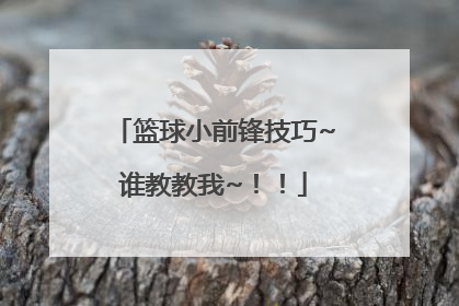 篮球小前锋技巧~谁教教我~！！