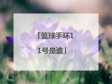 篮球手环11号是谁