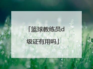 篮球教练员d级证有用吗