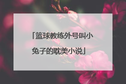 篮球教练外号叫小兔子的耽美小说