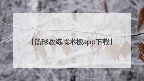 「篮球教练战术板app下载」手机中文篮球战术板app安卓