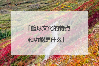 篮球文化的特点和功能是什么