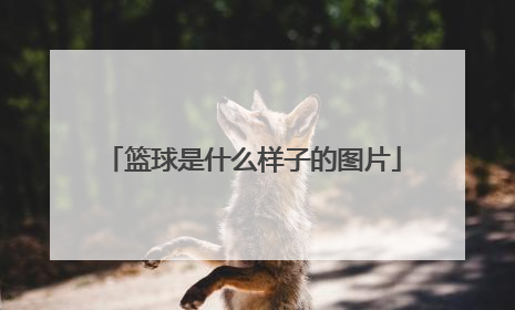 篮球是什么样子的图片