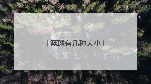 篮球有几种大小