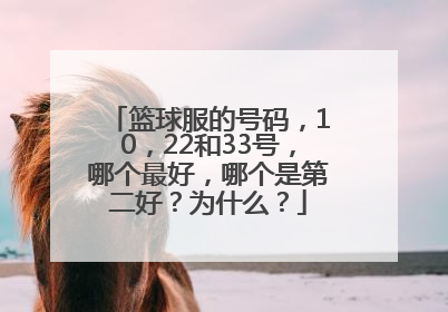 篮球服的号码，10，22和33号，哪个最好，哪个是第二好？为什么？