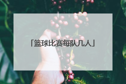 篮球比赛每队几人