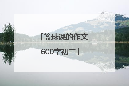 篮球课的作文600字初二