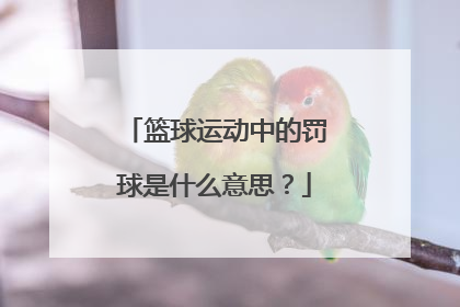 篮球运动中的罚球是什么意思？