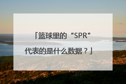 篮球里的“SPR”代表的是什么数据？