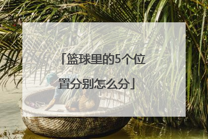 篮球里的5个位置分别怎么分