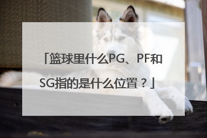 篮球里什么PG、PF和SG指的是什么位置？