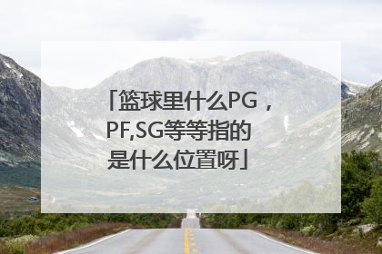 篮球里什么PG，PF,SG等等指的是什么位置呀