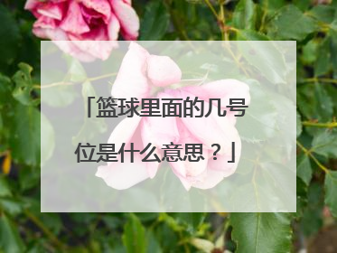 篮球里面的几号位是什么意思？