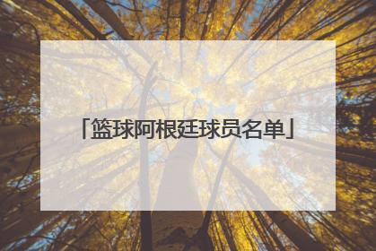 篮球阿根廷球员名单