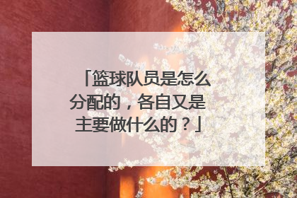 篮球队员是怎么分配的，各自又是主要做什么的？