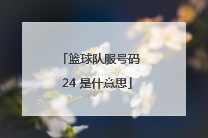 篮球队服号码 24 是什意思