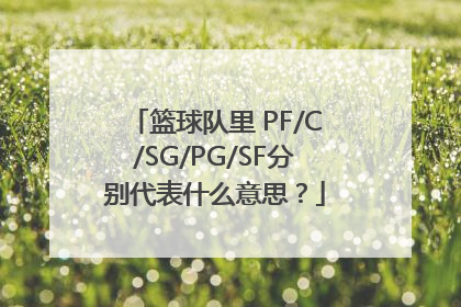 篮球队里 PF/C/SG/PG/SF分别代表什么意思？