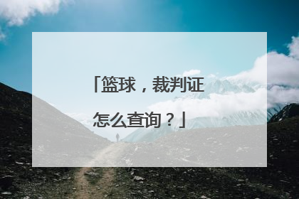 篮球，裁判证怎么查询？