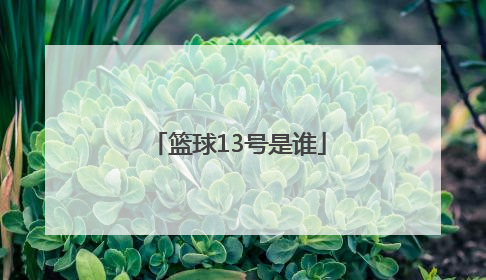 「篮球13号是谁」篮球十一号是谁