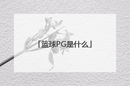 篮球PG是什么