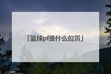 「篮球pf是什么位置」篮球里面pf是什么意思