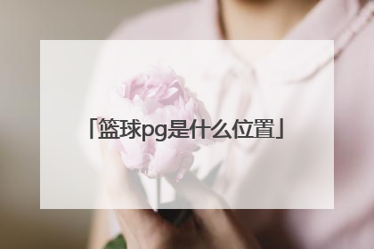 「篮球pg是什么位置」pg在篮球打什么位置