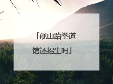 砚山跆拳道馆还招生吗