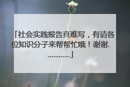 社会实践报告真难写，有请各位知识分子来帮帮忙哦！谢谢.............