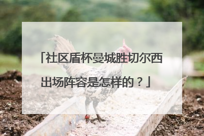 社区盾杯曼城胜切尔西出场阵容是怎样的？