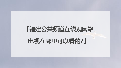 福建公共频道在线观网络电视在哪里可以看的?