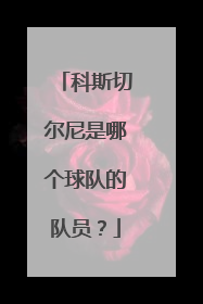 科斯切尔尼是哪个球队的队员？