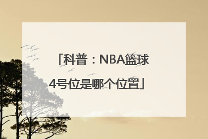 科普：NBA篮球4号位是哪个位置