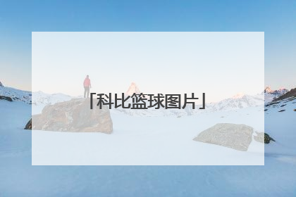 「科比篮球图片」科比篮球图片高清