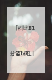 科比81分篮球鞋