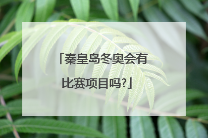 秦皇岛冬奥会有比赛项目吗?