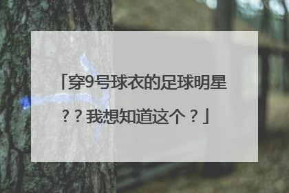 穿9号球衣的足球明星?？我想知道这个？