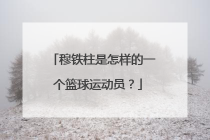 穆铁柱是怎样的一个篮球运动员？