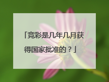 竞彩是几年几月获得国家批准的？