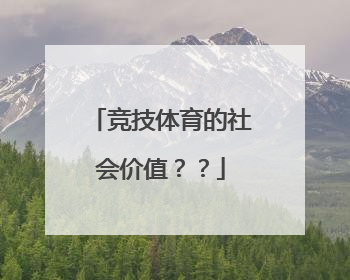 竞技体育的社会价值？？